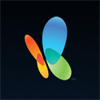 xinmsn